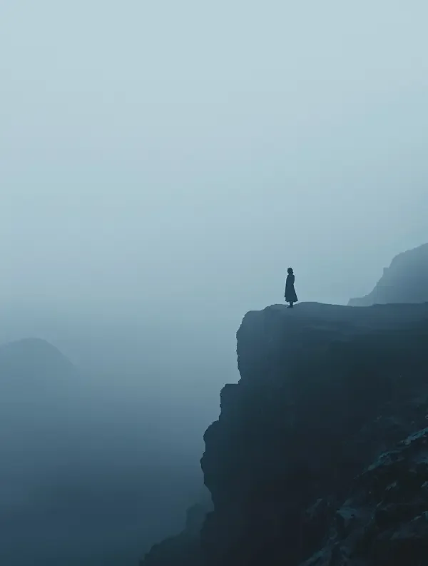 分手的决心 排行榜第2名